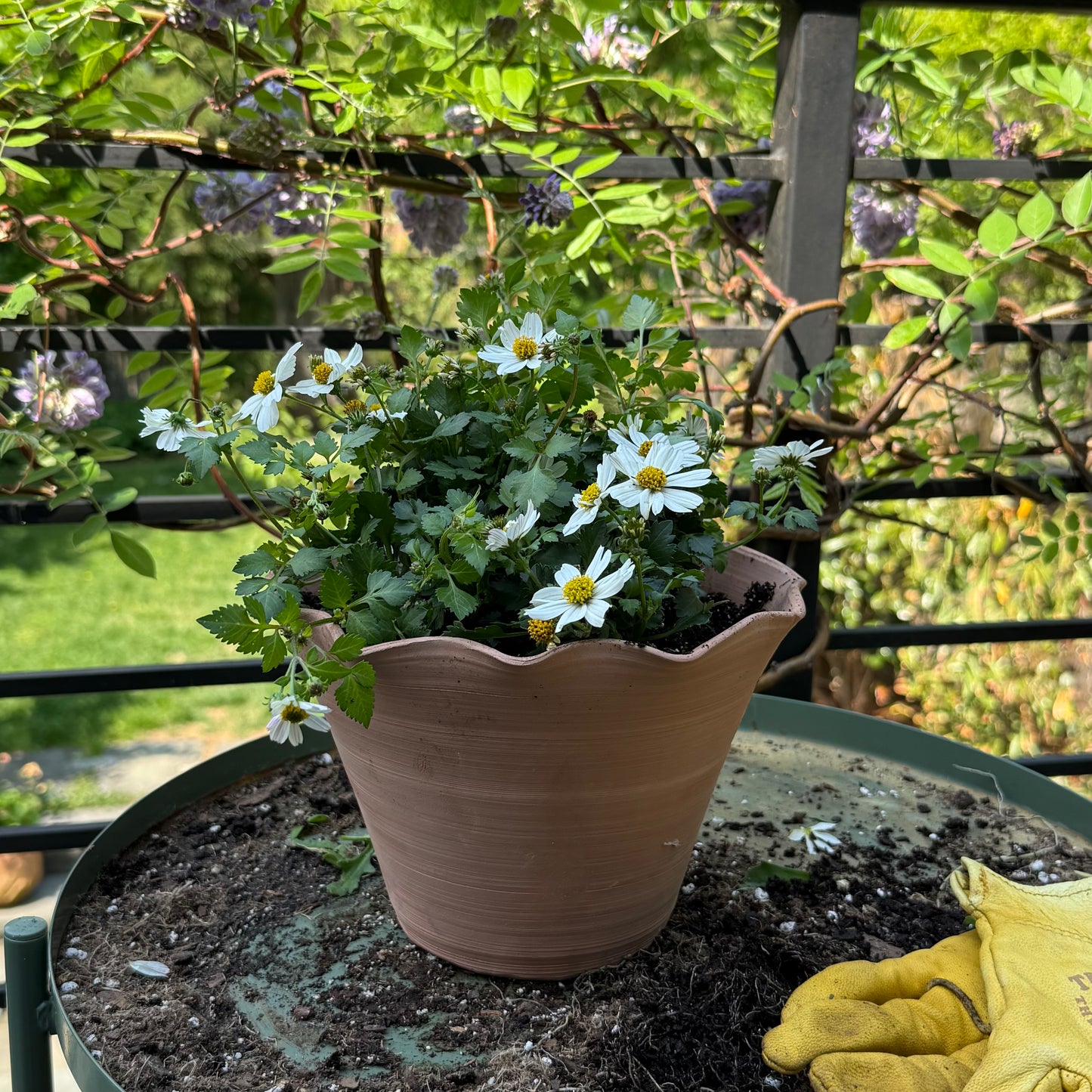 Martha Flower Pot Medium