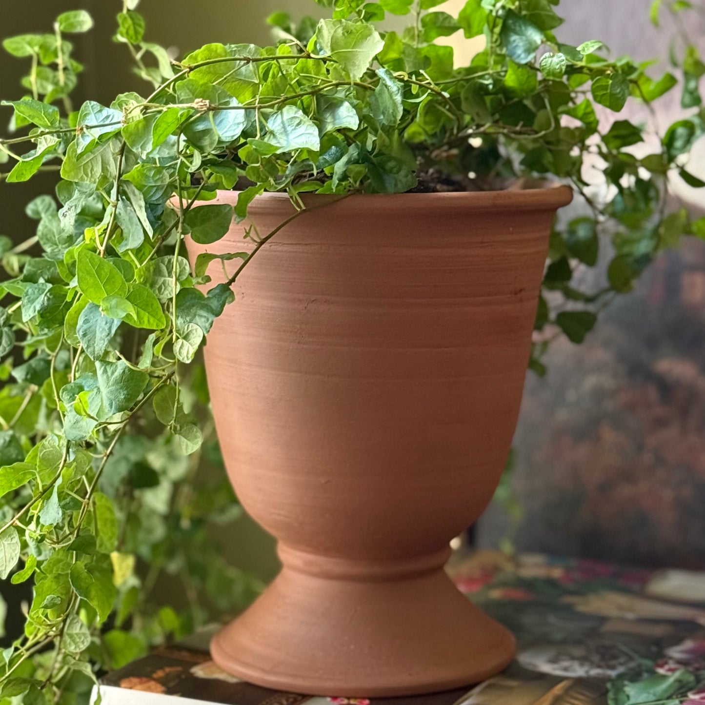 Fern Flower Pot