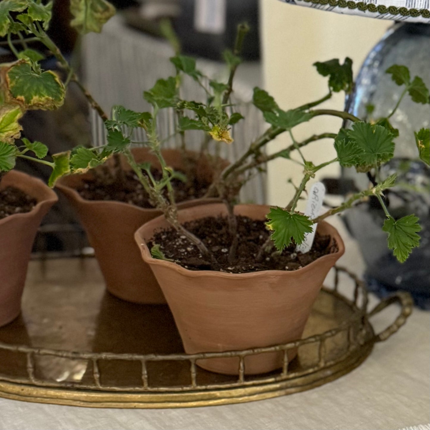 Martha Flower Pot Tiny