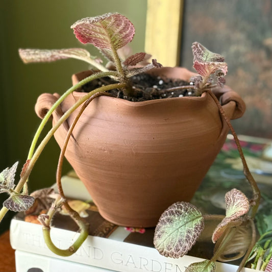 Roo Flower Pot